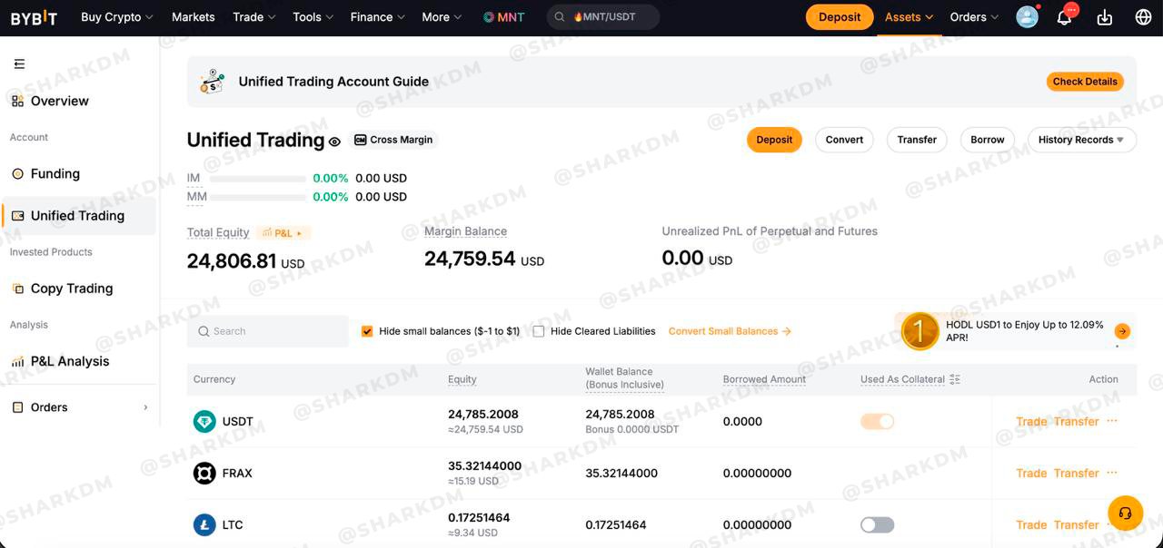 Bybit — 24 806 $.png